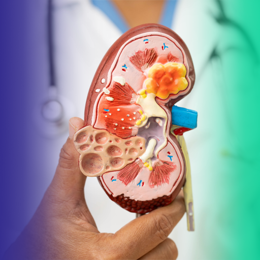 Como cuidar melhor da Doença Renal Crônica em adultos?