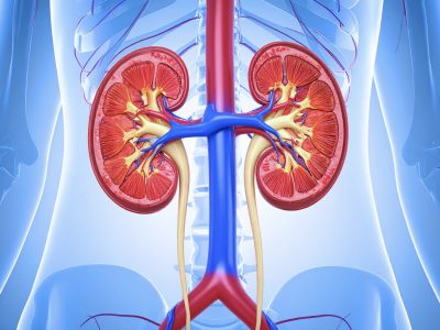 Estenose da artéria renal: quando suspeitar e como investigar